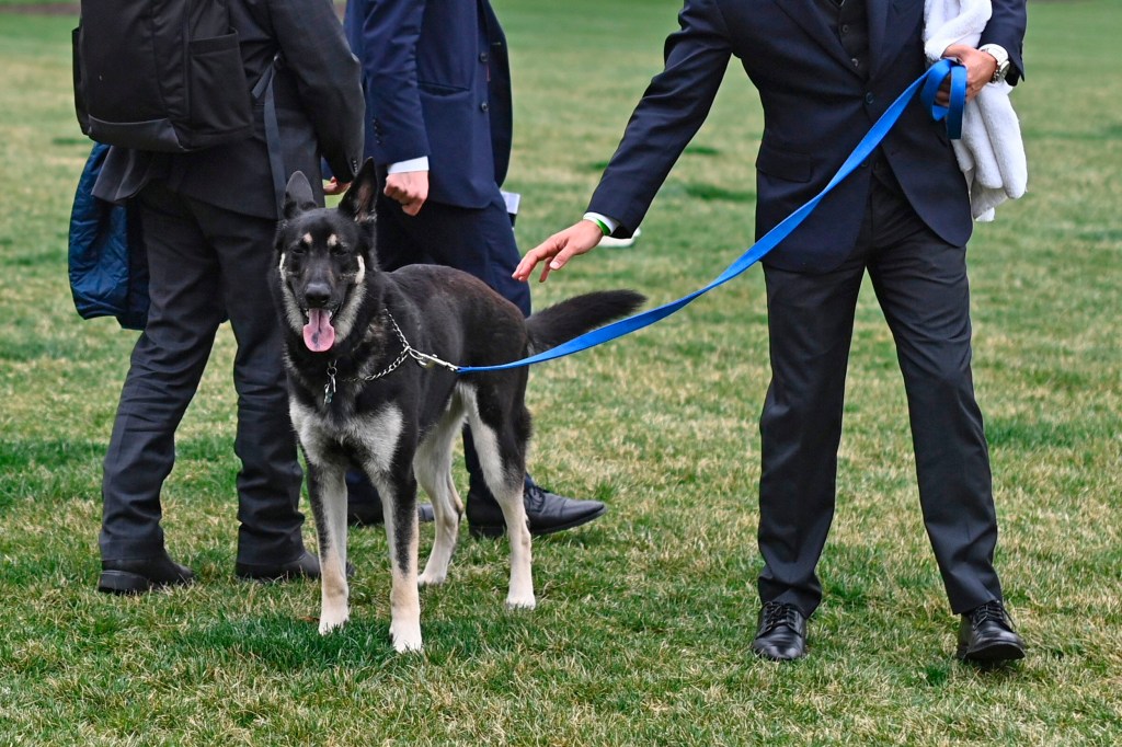 Major Biden on Leash